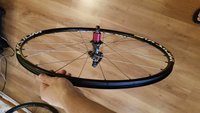 20180808_061801.jpg