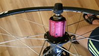 20180808_061825.jpg