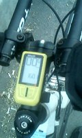 IMG0208A.jpg