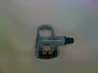 IMG_0041.JPG
