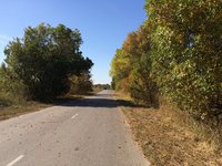 IMG_3831.jpg
